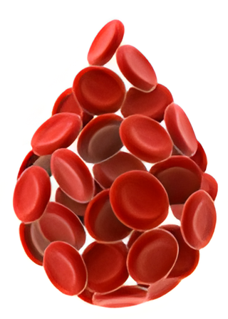 Anemia Tests