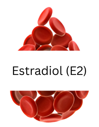 Estradiol (E2)