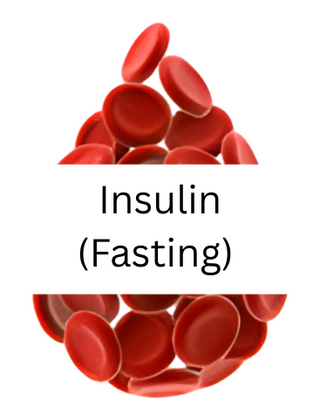 Insulin, Fasting