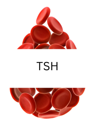 TSH