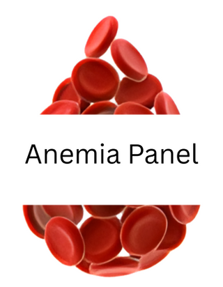 Anemia Panel