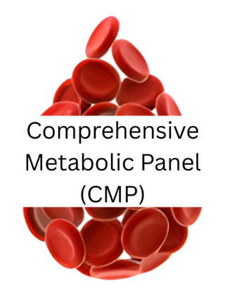 Comprehensive Metabolic Panel (CMP)