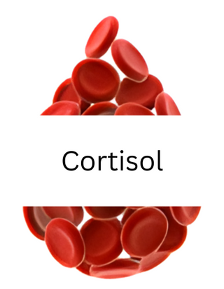 Cortisol
