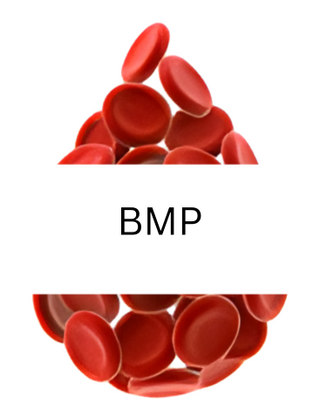 Basic Metabolic Panel (BMP)