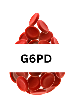 G6PD Test